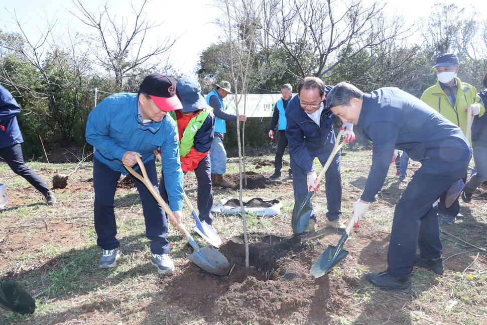 강병삼 제주시장이 14일 오전 사라봉공원에서 식목일 행사로 왕벚나무를 심고 있다. 제주시 제공