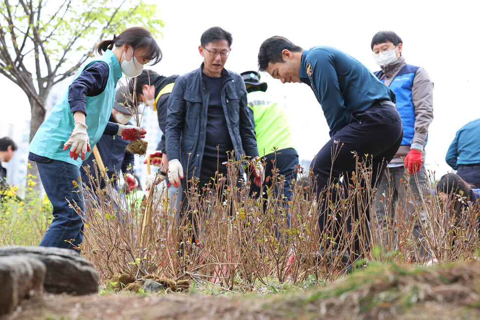 용산 소재 민관학 연합 봉사체 용산 드래곤즈 회원들이 4일 오전 서울 용산구 효창공원앞역 광장에서 식목일을 맞아 나무를 심고 있다. 백소아 기자