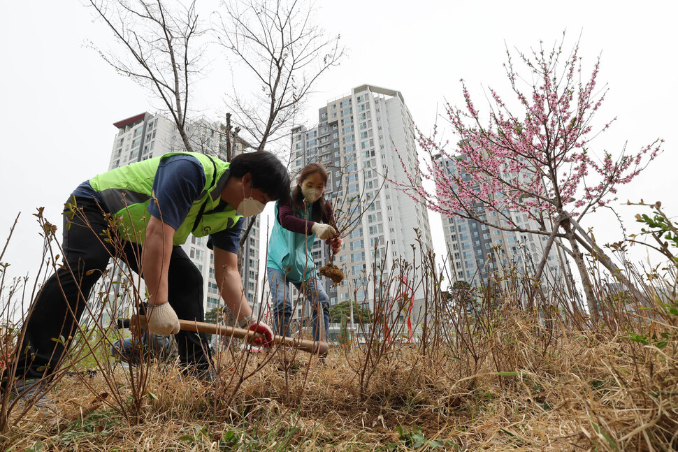 용산 소재 민관학 연합 봉사체 용산 드래곤즈 회원들이 4일 오전 서울 용산구 효창공원앞역 광장에서 식목일을 맞아 나무를 심고 있다. 백소아 기자