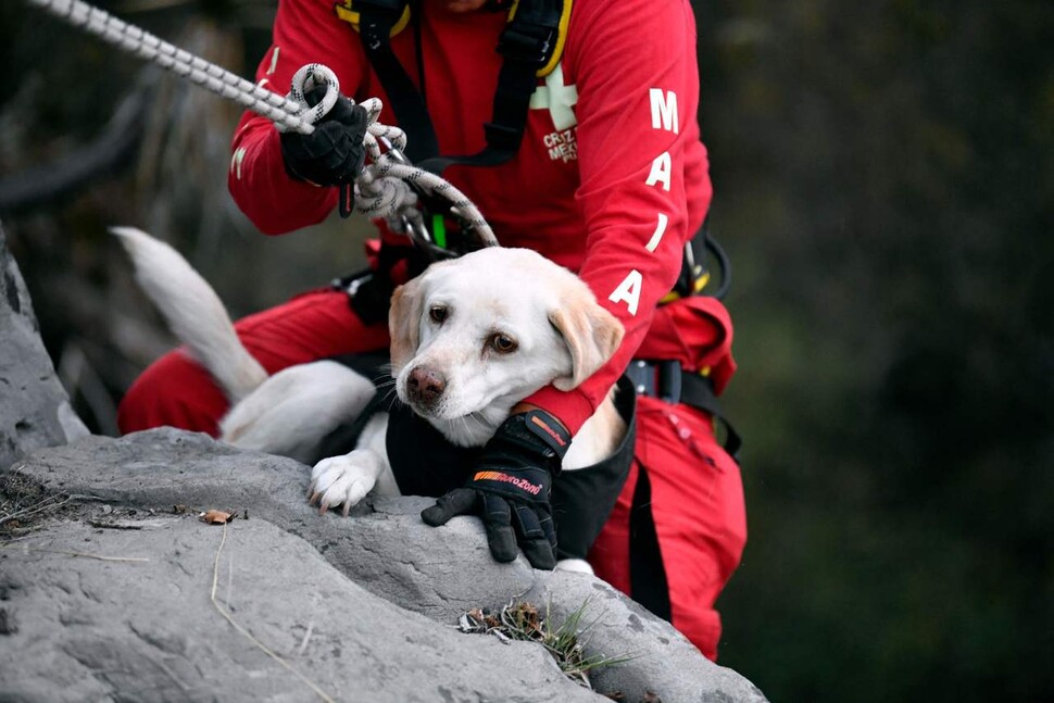 SAR K9(구조견부대)의 마이아가 조련사와 함께 4월 29일 멕시코 푸에블라주 발세키요 라군에서 훈련을 하고 있다. 멕시코 적십자사는 지난 2월 튀르키예의 대지진 참사현장에서 이 구조견부대의 구조견과 팀원들과 함께 활동했다. AFP 연합뉴스