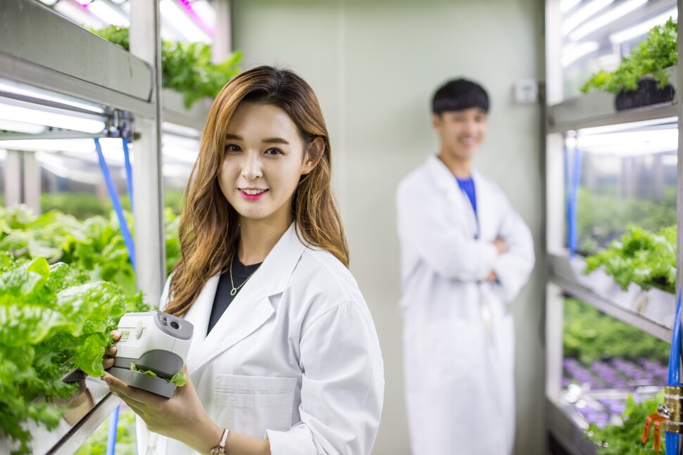 &nbsp; &nbsp; &nbsp; &nbsp; &nbsp; &nbsp; &nbsp; &nbsp; &nbsp; &nbsp; &nbsp; &nbsp; &nbsp; &nbsp; &nbsp; &nbsp; &nbsp; &nbsp; &nbsp; &nbsp; &nbsp; &nbsp; &nbsp; &nbsp; &nbsp; &nbsp; &nbsp; &nbsp; &nbsp; &nbsp; &nbsp; &nbsp; &nbsp; &nbsp; &nbsp; &nbsp; &nbsp; &nbsp; &nbsp; &nbsp; &nbsp; &nbsp; &nbsp; &nbsp; &nbsp; &nbsp; &nbsp; &nbsp; 삼육대 SU-AgRI 에코팜 센터. 삼육대 제공