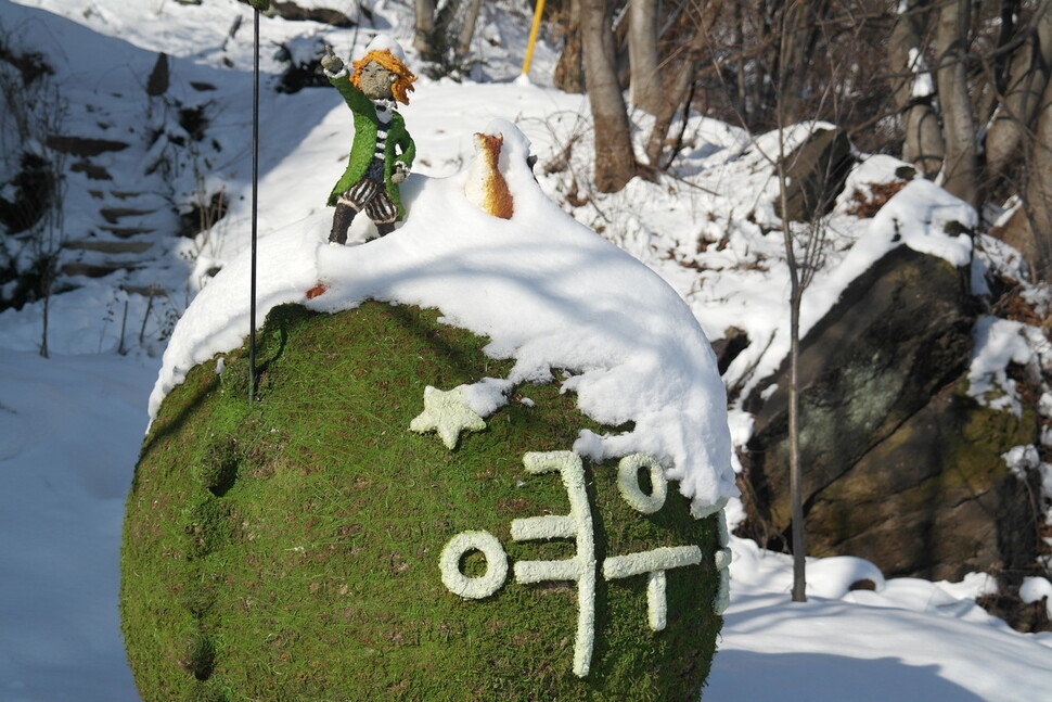 눈 덮인 여우숲. 사진 김용규 괴산여우숲생명학교장