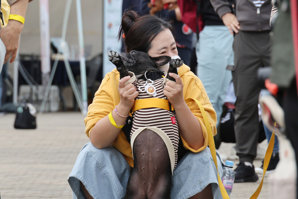 예쁘게 꾸민 강아지가 반려인과 함께 준비운동을 하고 있다. 김혜윤 기자