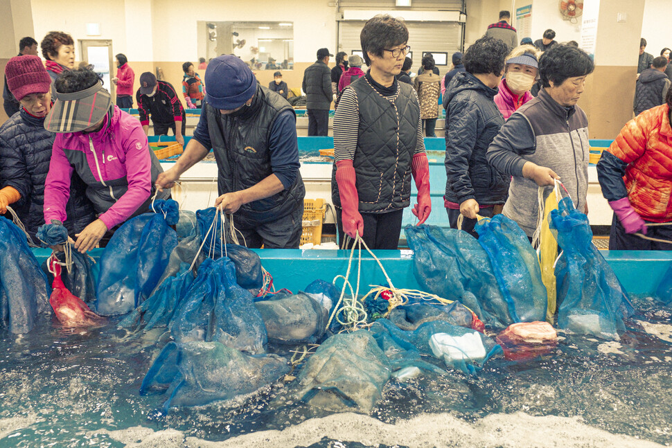 녹동항 수산물 위판장에서 경매를 기다리는 어민들.