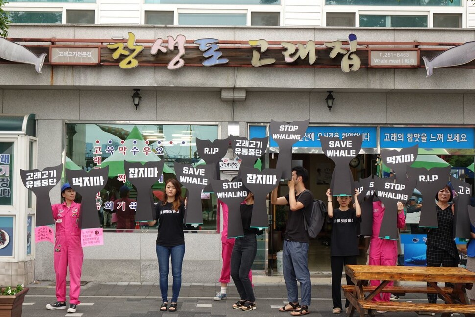 2019년 6월 울산 남구 장생포 고래문화특구에서 시민단체들이 고래고기 유통중단과 고래 포경 금지 등 고래보호 캠페인을 벌이고 있다. 핫핑크돌핀스 제공