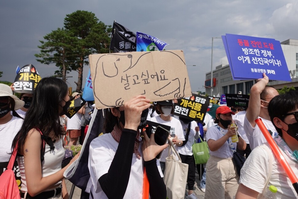 초복인 지난 16일 서울 용산역 광장에서 국내 31개 동물단체가 연합한 ‘개 식용 종식 촉구 국민행동’이 국민 대집회를 열었다. 국민행동 제공