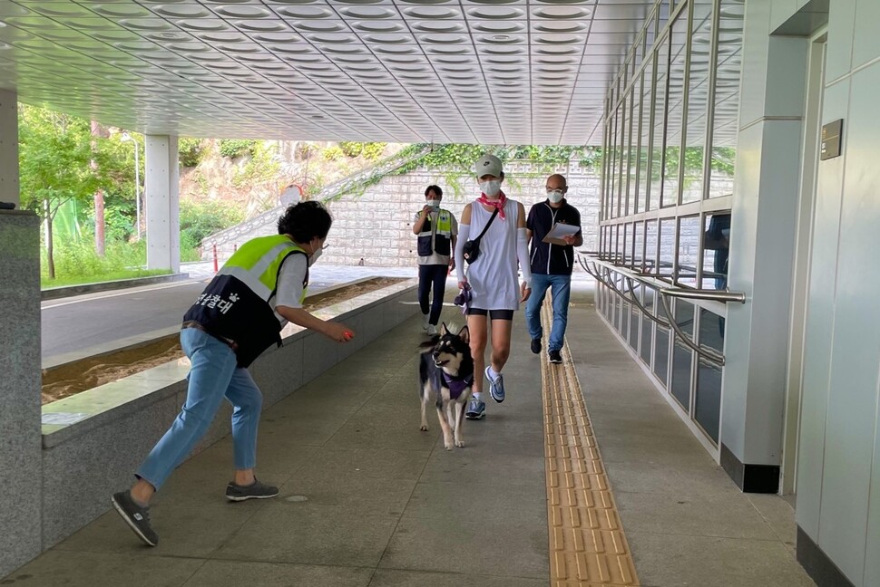 평가 항목은 3㎞미만의 코스를 산책하며 횡단보도 건너기, 낯선 사람과 다른 개를 만났을 때의 대응 등을 체크한다. 대인 반응 시험을 치르고 있는 진돗개 똘똘이와 반려인 이채영씨.