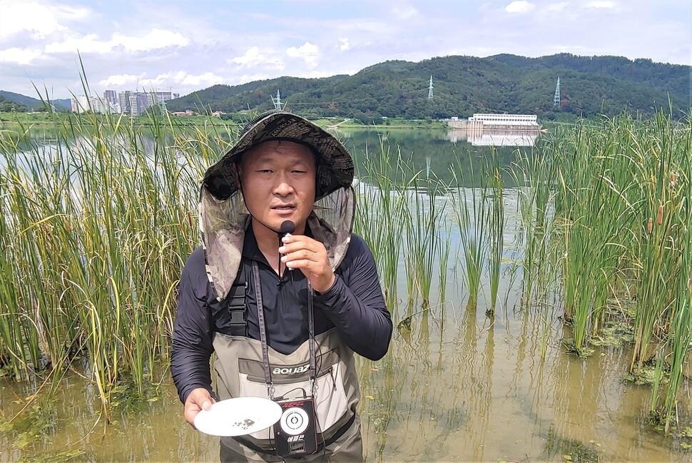 정수근 대구환경운동연합 생태보존국장이 지난 5일 경북 고령군 우륵교 인근 낙동강 바닥에서 뜬 흙에서 나온 실지렁이와 깔따구 애벌레를 보여주고 있다. 뒤쪽으로 대구시민들에게 수돗물을 공급하는 매곡취수장이 보인다. 최상원 기자