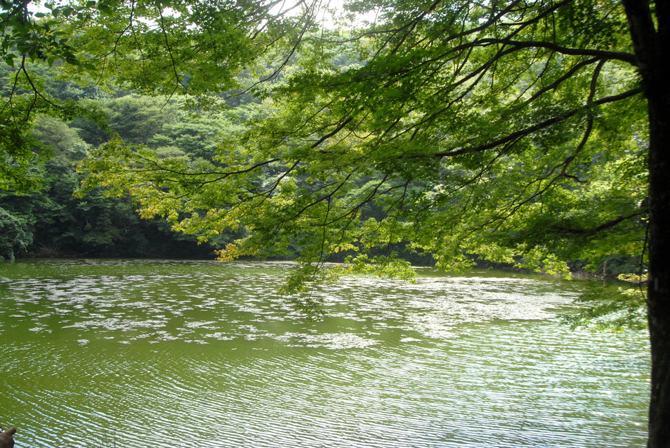 제주시 조천읍 물찻오름 분화구. 제주도 제공