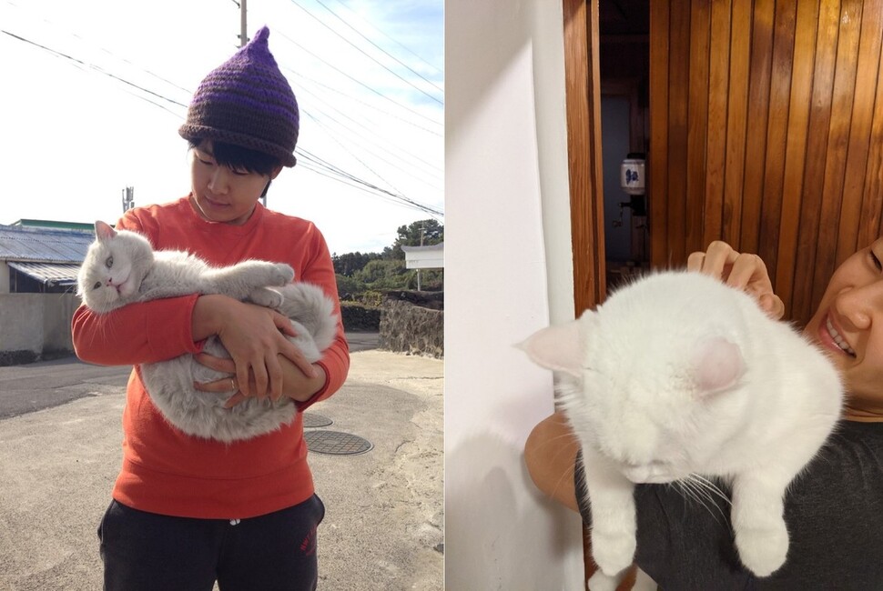 세상에서 가장 행복한 고양이로 만들어주겠다고 6년 전에 히끄와 약속했다. 동네고양이 시절 히끄(왼쪽)와 최근 모습.