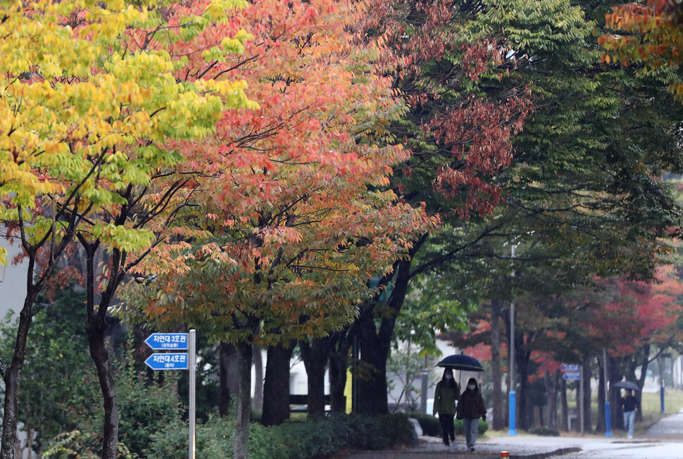 지난 21일 오후 광주 북구 전남대학교 교정에 가을비가 내리고 있다. 하지만 올 가을 가을비의 양은 매우 적었다고 기상청은 30일 밝혔다. 연합뉴스