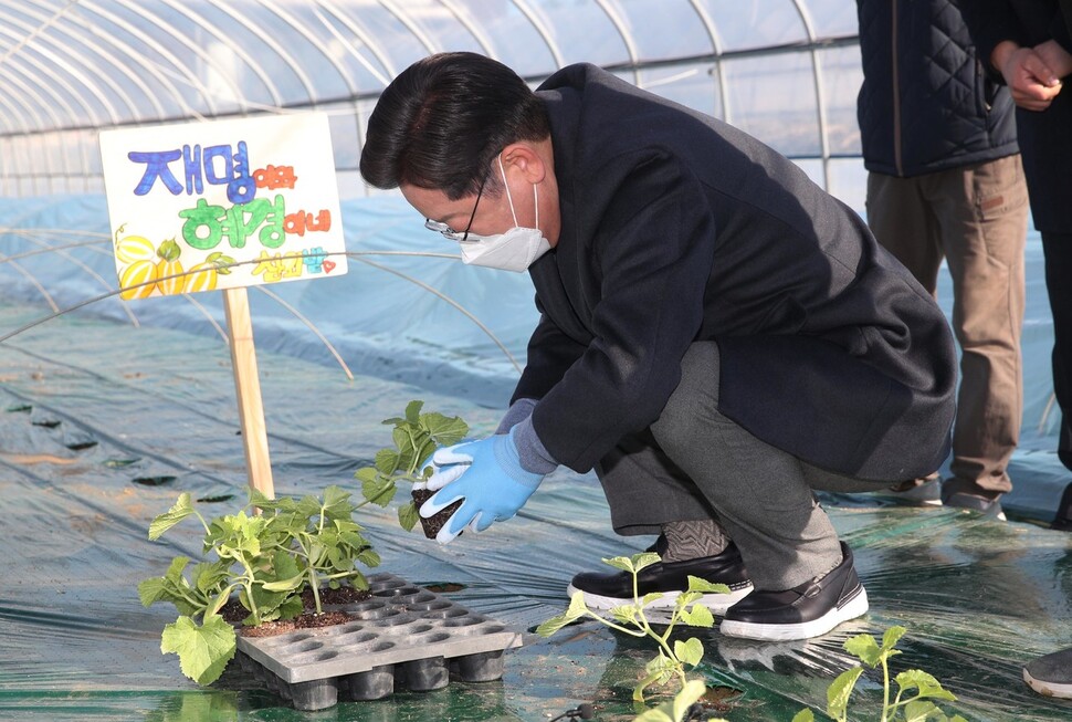 이재명 더불어민주당 대선 후보가 13일 오전 경북 성주군 성주읍 금산리 한 농원을 방문해 성주 참외 모종을 심고 있다. 성주/김봉규 선임기자