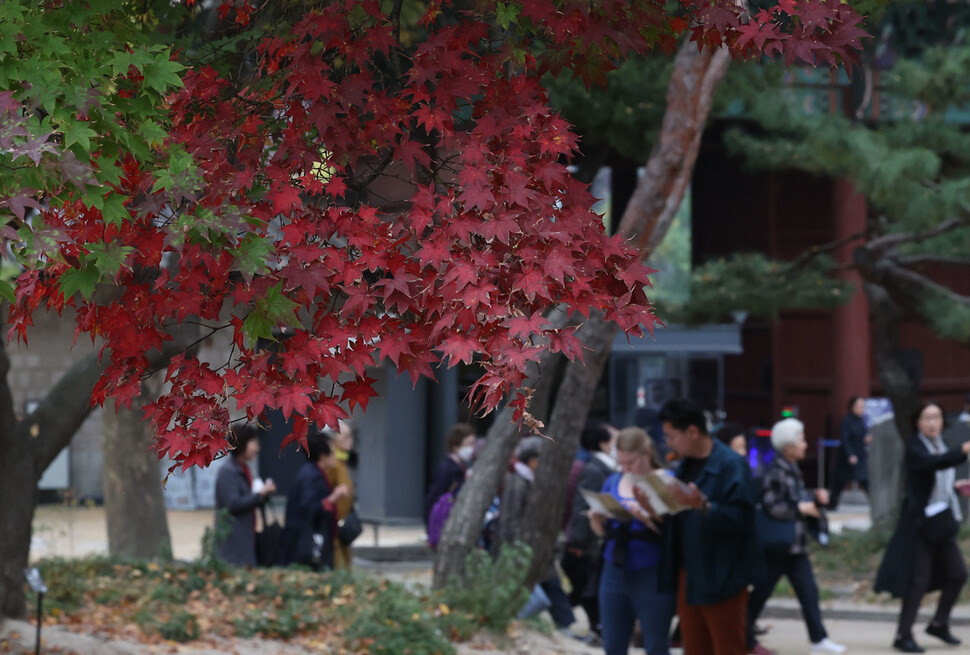 서울 아침 기온이 17.2도를 기록해 11월 기준 역대 가장 높은 온도를 보인 1일 오전 서울 중구 덕수궁에서 시민들과 외국인 관광객들이 물들어 가는 단풍을 즐기고 있다. 백소아 기자
