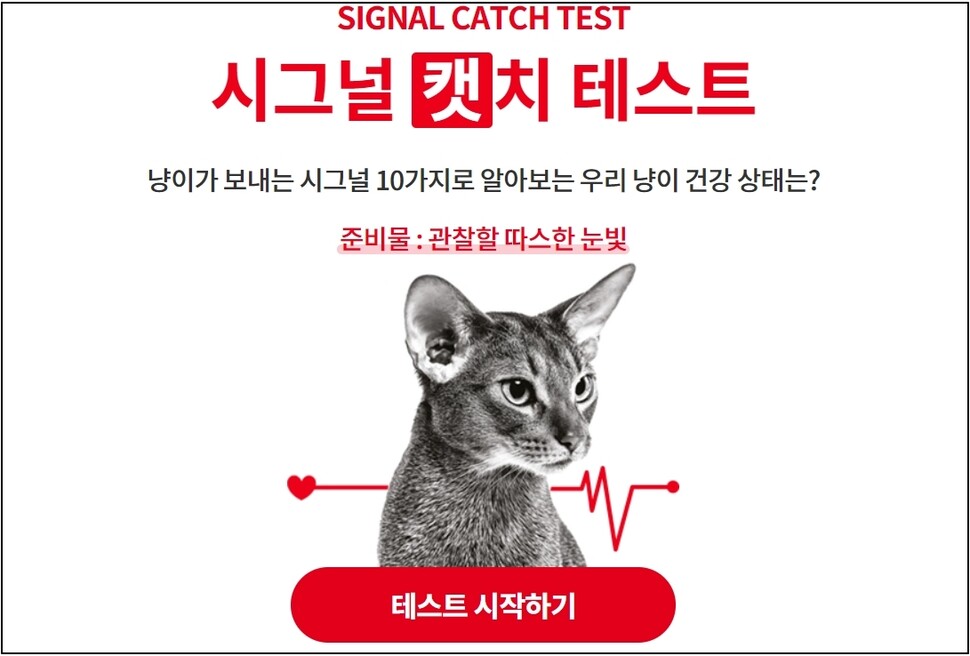 집에서 반려묘의 건강 상태를 살피고, 검진의 필요성을 체크해볼 수 있는 ‘시그널 캣치 테스트’를 누리집에서 참여할 수 있다. 로얄캐닌 제공