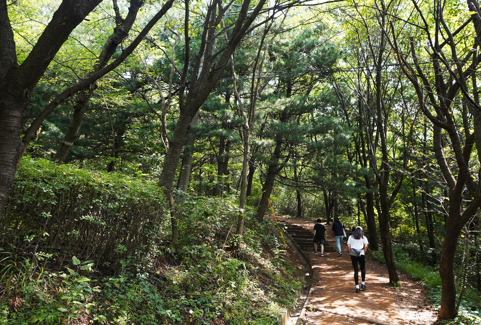 레깅스로 대표되는 애슬레저 룩이 인기다. 이현상 제공