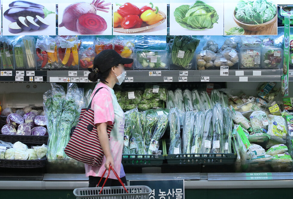 9일 서울의 한 대형마트에서 장을 보는 시민. 연합뉴스