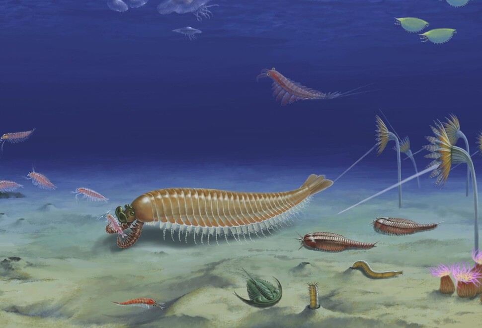 5억3000만년 전 바다에 살았던 키린시아의 상상도. 절지동물의 조상으로 추정된다. 황디잉 외 (2020) ‘네이처’ 제공