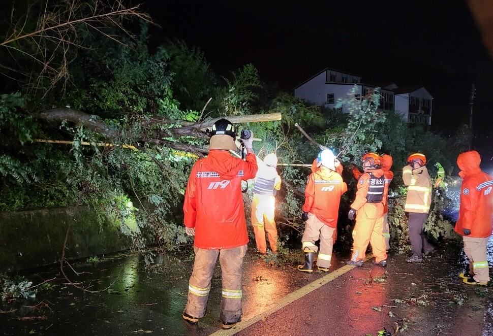 제11호 태풍 힌남노가 6일 새벽 경남 남해안에 상륙한 가운데 소방대원들이 이날 새벽 통영시 산양읍에서 강풍에 쓰러진 나무 제거작업을 하고 있다. 경남소방본부 제공