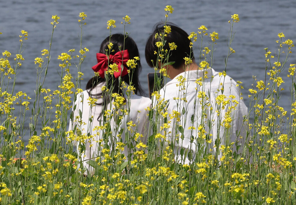 14일 오후 서울 서초구 서래섬에서 열린 유채꽃 축제를 찾은 시민들이 정취를 만끽하고 있다. 백소아 기자