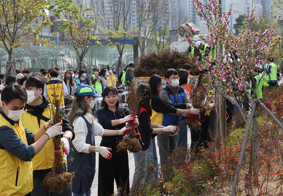 용산 소재 민관학 연합 봉사체 용산 드래곤즈 회원들이 4일 오전 서울 용산구 효창공원앞역 광장에서 묘목을 옮기고 있다. 백소아 기자