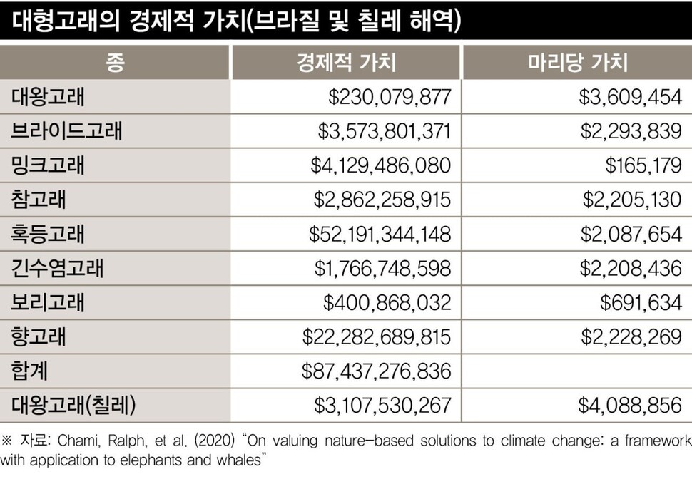 그래픽_안효정 소셜그래픽팀