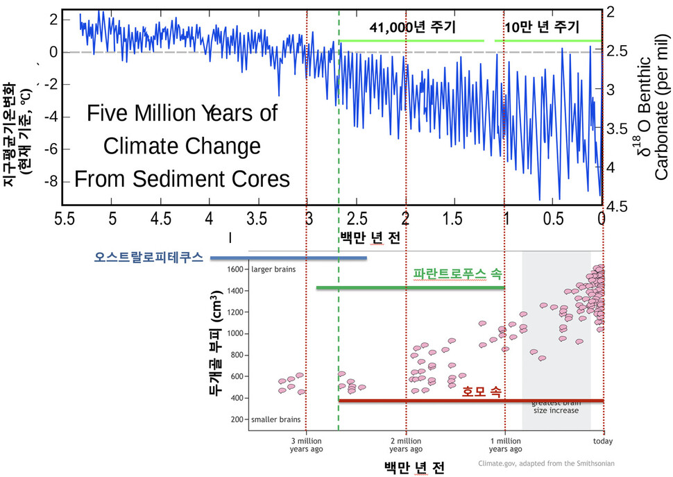 지난 500만 년 동안 지상기온과 인류 두개골 부피의 변화. 출처: 기온은 Wikimedia(Five Myr Climate Change). 두개골 부피는 스미스소니언 박물관. ※ 이미지를 누르면 크게 볼 수 있습니다.