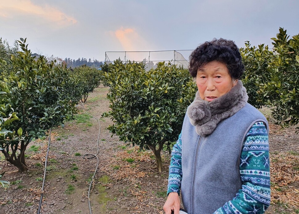 제주4·3 때 불타 없어진 집터에 선 김평순씨.