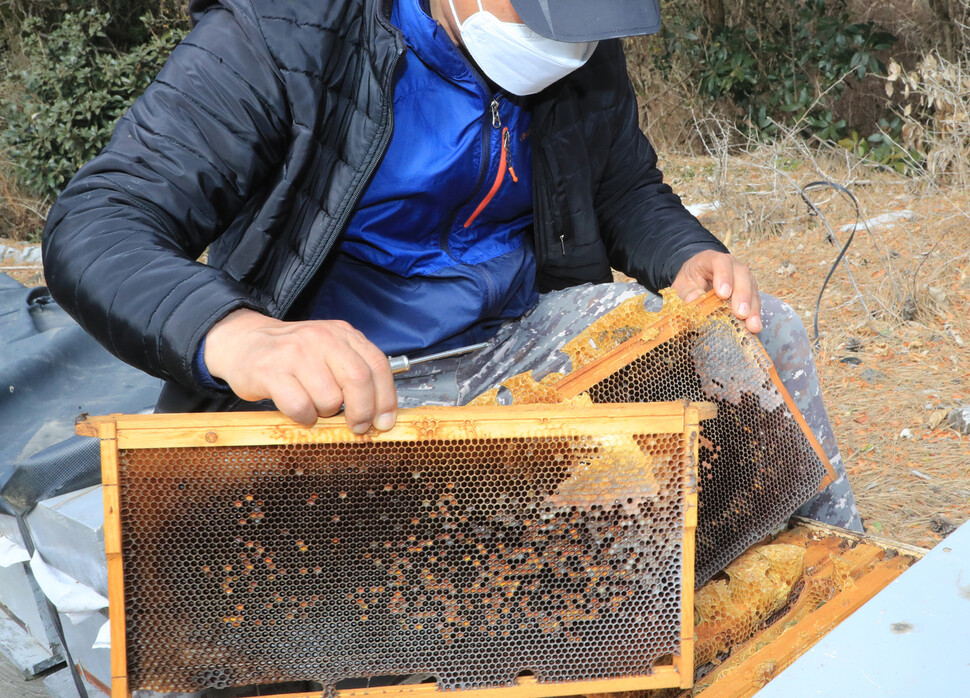 제주시 구좌읍 행원리 한 양봉 농가에서 농민이 비어 있는 벌통을 들어 보이고 있다. 연합뉴스