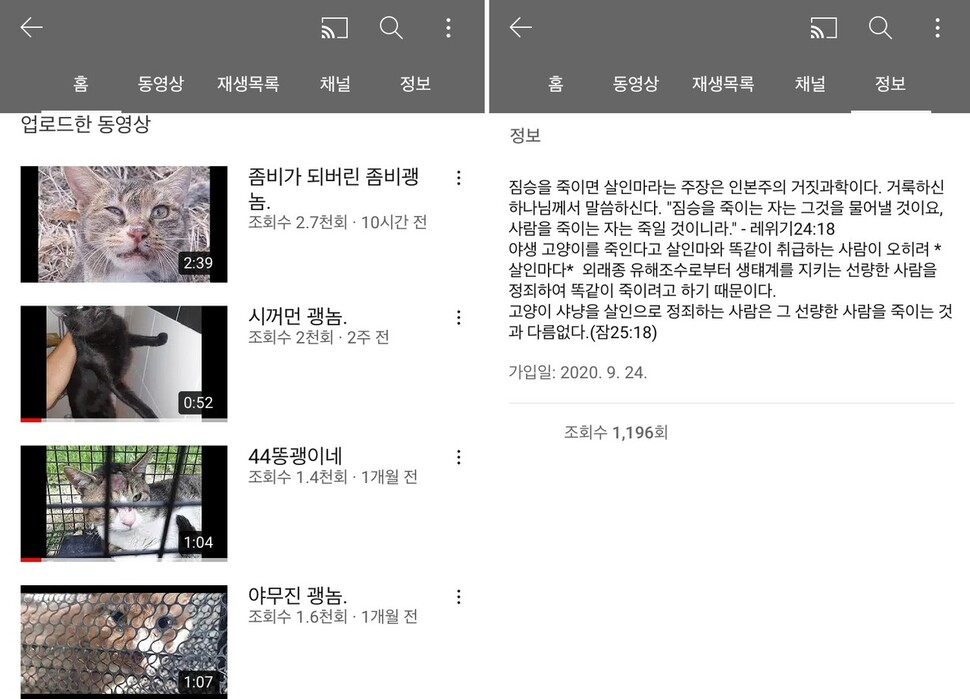 채널에는 고양이를 포획해 괴롭히거나 포박하고 함부로 다루는 모습의 영상들이 게시돼 있었다. 유튜브 채널 갈무리