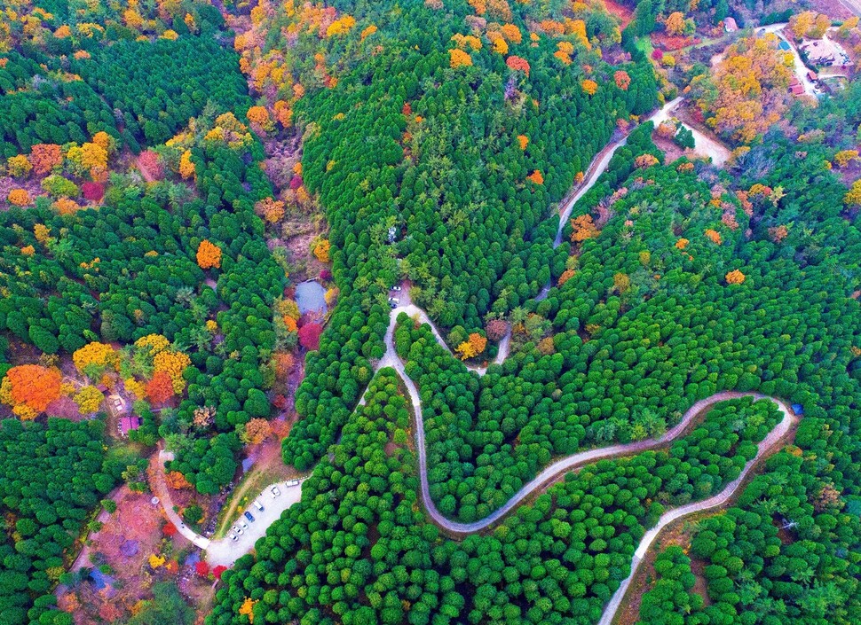 경남 고성 갈모봉 산림욕장.