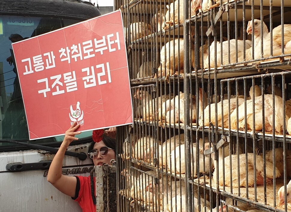 10월4일 세계 동물의 날, 경기 용인시 한 도계장 앞에서 전세계적으로 펼쳐진 ‘동물권리장전’ 제정 운동에 합류하는 의미로 락다운 시위를 벌였다. 디엑스이 제공