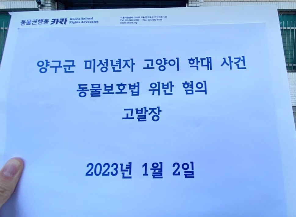 동물권행동 카라는 ‘양구군 미성년자 고양이 학대사건’을 경찰에 고발하며 추가 증거 수집을 위해 목격자의 제보를 모으고 있다. 카라 제공