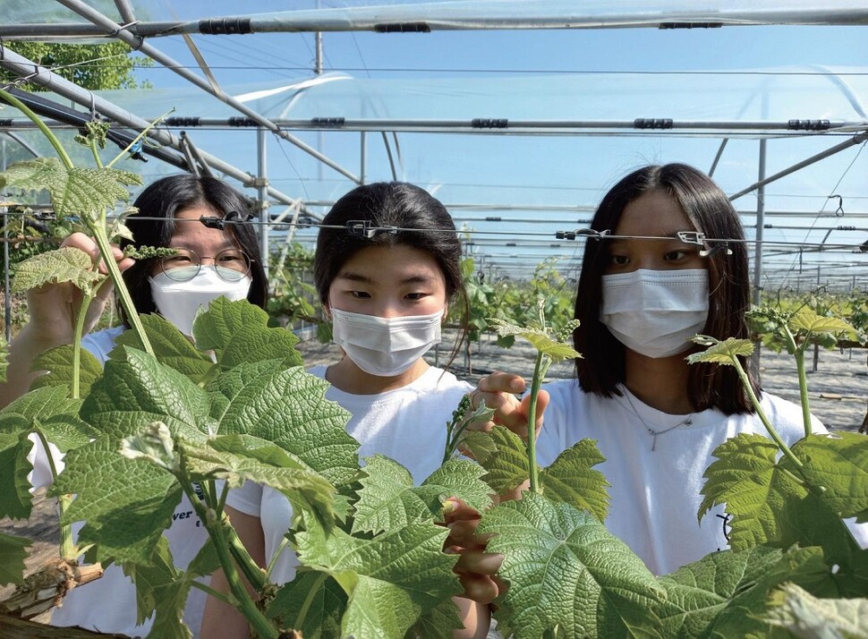 사진 한국미래농업고등학교 제공