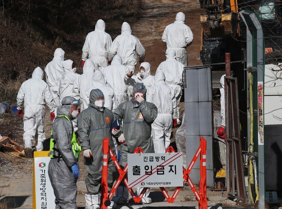 가축위생방역지원본부 관계자들이 고병원성 조류인플루엔자가 발생한 한 농장에서 긴급 방역을 실시하고 있다. 연합뉴스