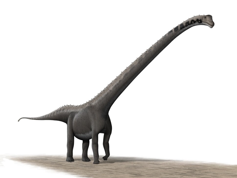 쥐라기 때 아시아에 서식했던 거대 초식공룡 마멘치사우루스의 상상도. 목이 체중의 절반을 차지하며 길이 35m, 무게 80t에 이르기도 했다. 이 용각류 뼈에서 소형 포유류의 이빨 자국이 발견됐다. 위키미디어 코먼스 제공