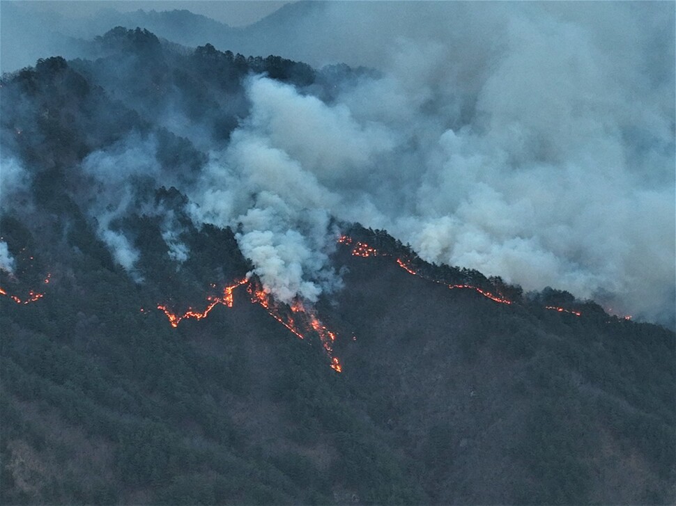 강원도 삼척 산불 현장. 녹색연합