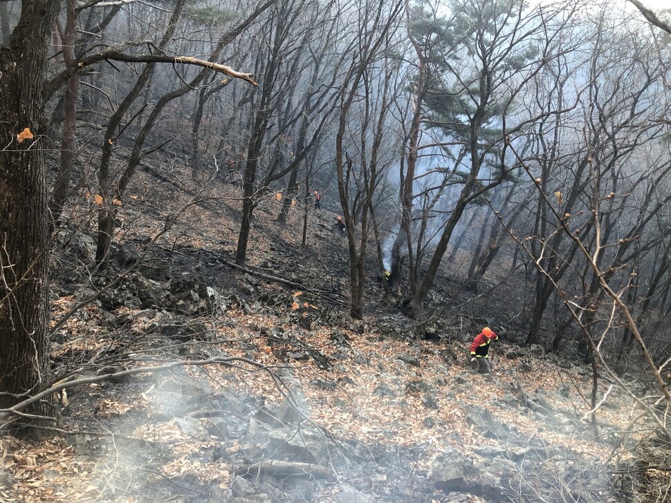 소방관 등이 12일 오전 강원 정선 백석산에서 잔불을 정리하고 있다.