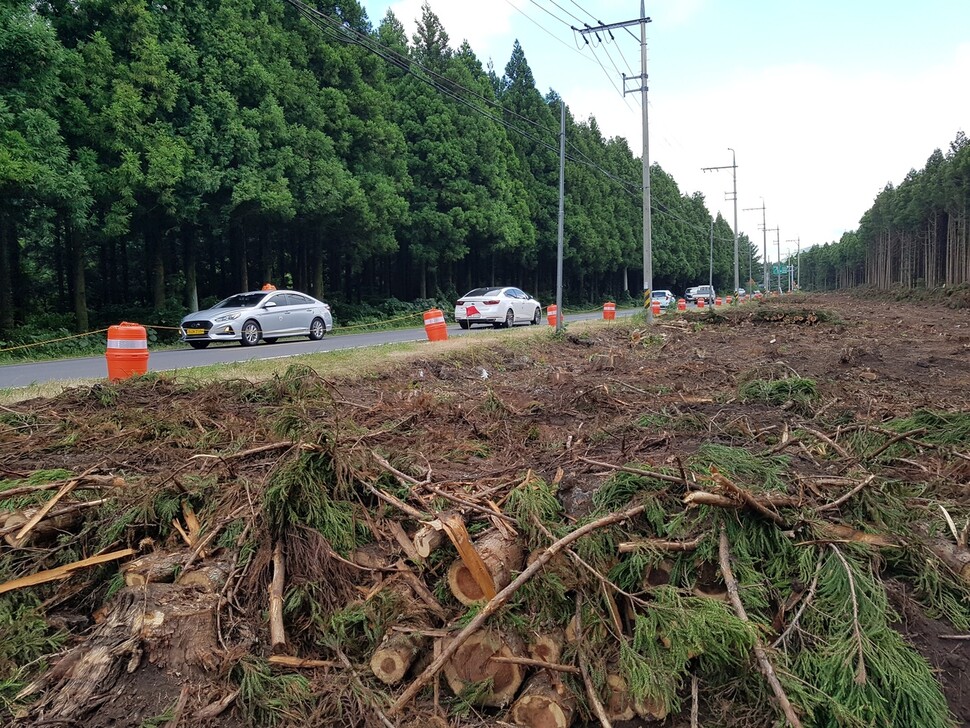 ’삼나무숲 파괴’ 논란을 빚은 제주 비자림로 확장공사가 공사가 중단된 지 1년만인 지난 27일 재개됐으나 하루 만에 또다시 중단됐다.