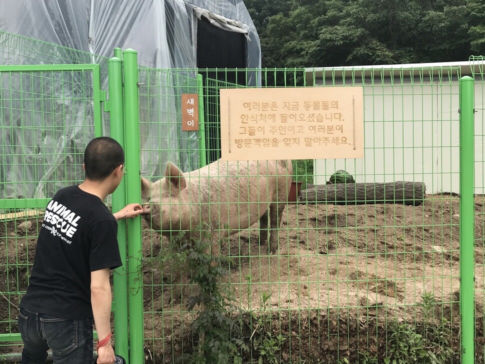 생츄어리 곳곳을 탐색하며 코 인사를 나누기 바쁜 새벽이.