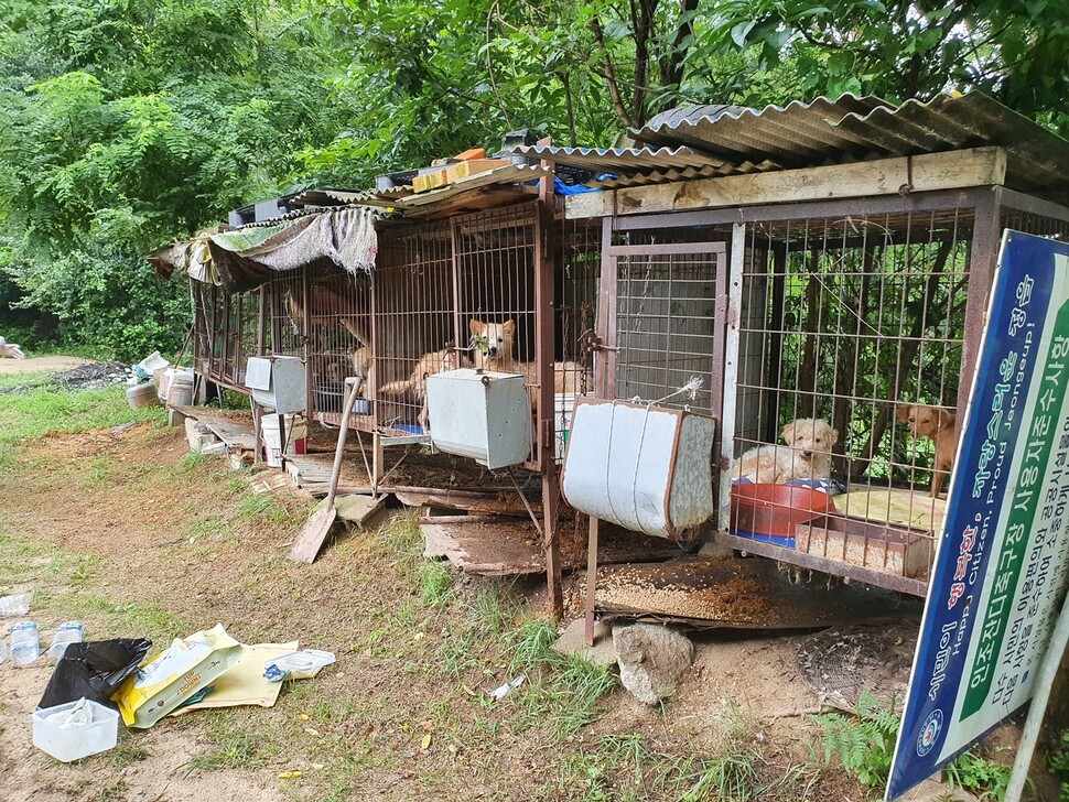 전북 정읍시가 2019년 1월부터 유기동물보호를 위탁해온 ㄱ동물병원은 보호소를 따로 운영하며 내부를 공개하지 않아왔다. 개농장을 방불케 하는 보호소 내부 풍경.