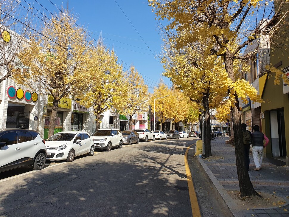 은행나무 가로수가 흐드러진 운리단길 날머리.