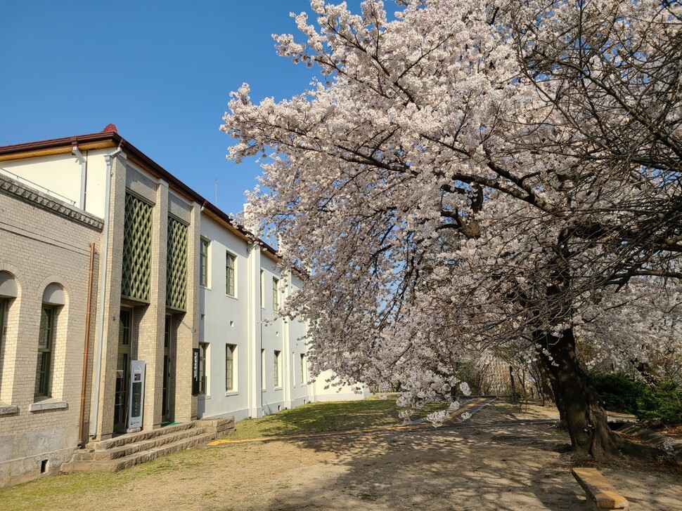 지난달 31일 찾은 서울 종로구 송월동의 국립기상박물관. 1932년 지어져 기상관측을 하던 건물로 국가등록문화재 585호이다. 현재 서울기상관측소도 이 건물에 함께 있다. 계절관측목인 왕벚나무와 단풍나무, 진달래, 매화 등이 이 건물 앞에 있다.