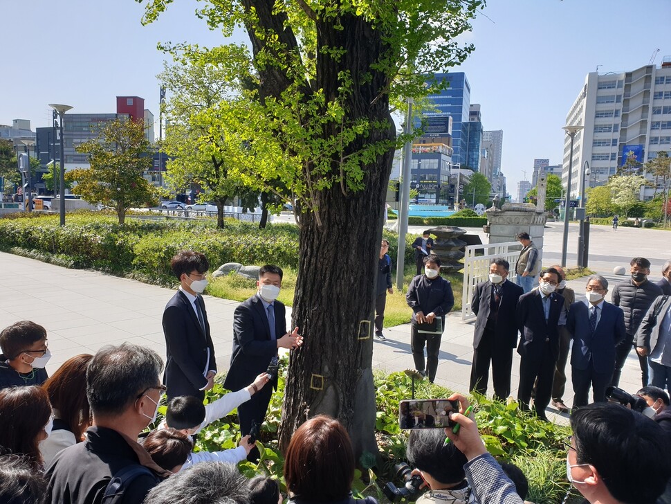 13일 옛전남도청복원추진단 관계자가 5·18 당시 계엄군이 쏜 총탄이 박혀 있는 은행나무 조사 과정을 말하고 있다.