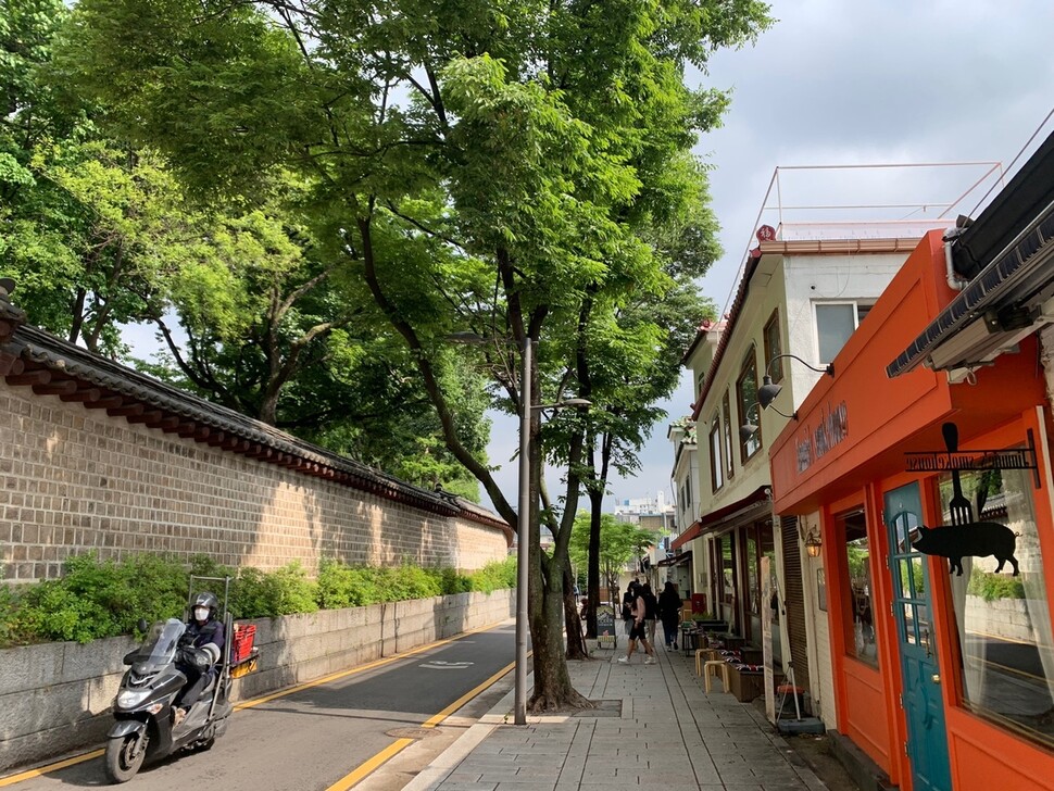 지난달 27일 오후 서순라길. 2층 높이 담장 위로 종묘의 거목들이 우뚝 서 있다. 김양진 기자