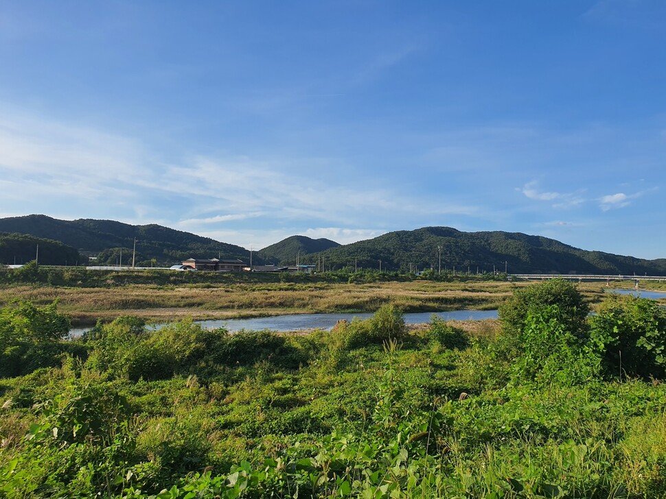 여주 집에서 바라본 풍경.