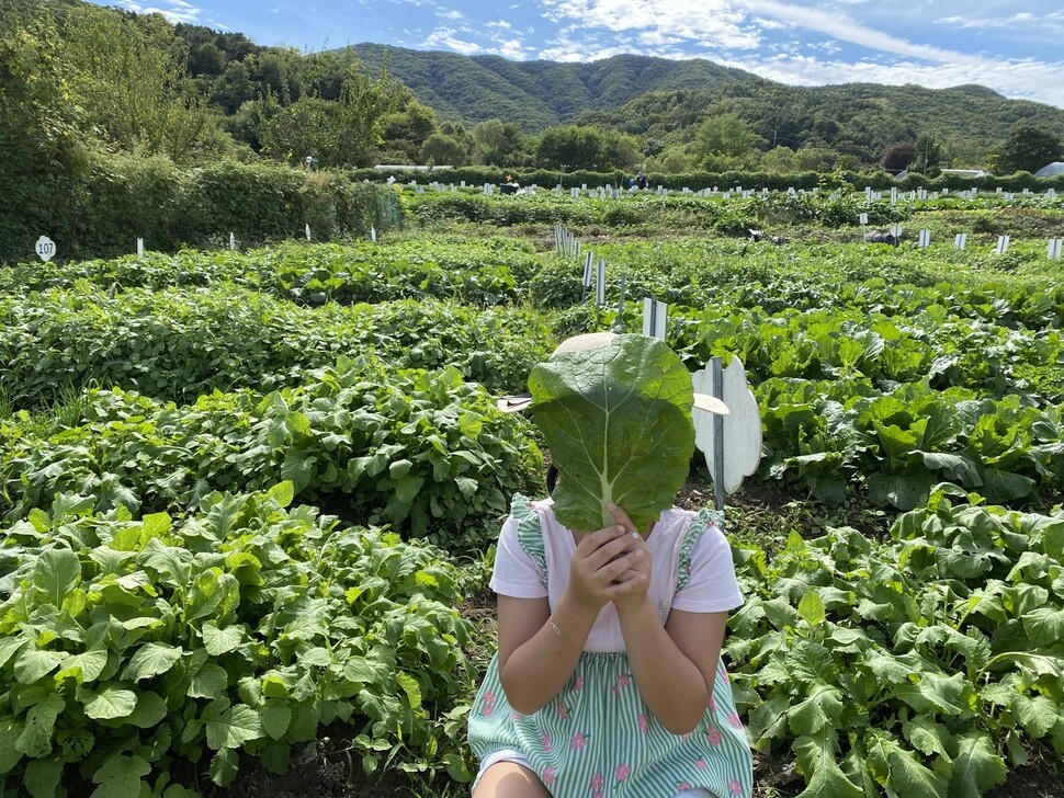 사진 신소윤 기자