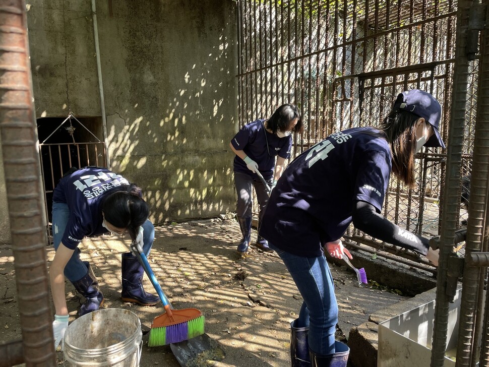 동물단체 카라, 곰 보금자리 프로젝트 활동가들은 매주 주말 농장을 찾아 곰들을 보살피고 있다.