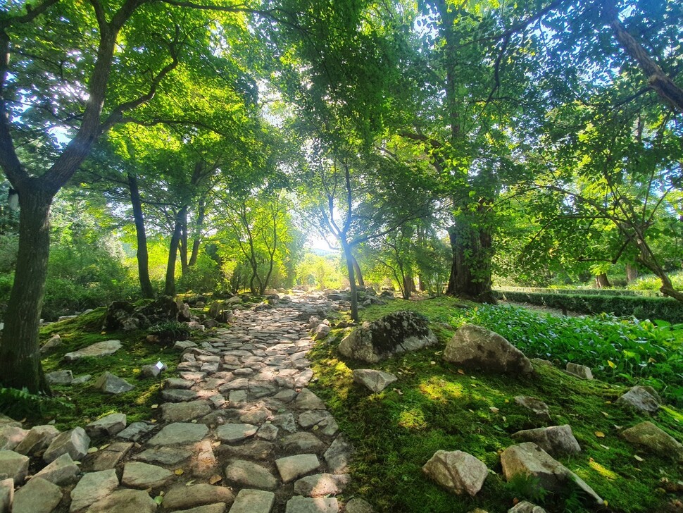 산림청 국립수목원에 새로 조성된 이끼 정원. 국립수목원 제공