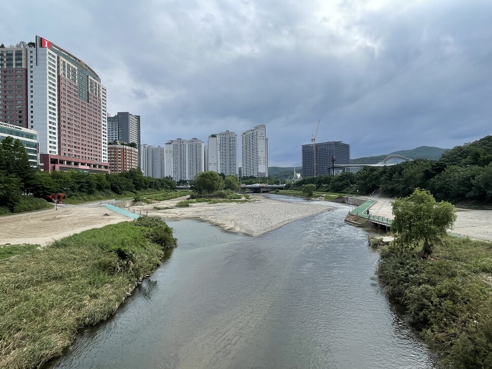 지난 7일 성남시 분당구 정자동 탄천의 모습. 대형 콘크리트 보를 걷어낸 자리에 모래톱이 생기며 하천이 되살아나고 있다. 김기성 기자