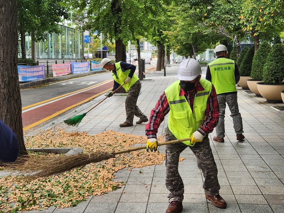 지난 4일 서울 영등포구 국회대로 앞에서 영등포구청 푸른도시과 관계자들이 떨어진 은행열매를 빗자루로 쓸어담는 모습.